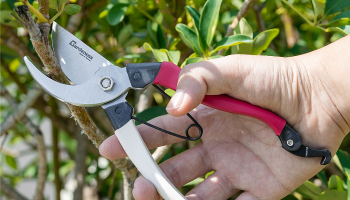 Where Can I Find the Best Gardening Tools?