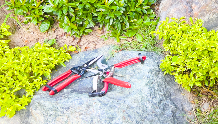 What is Garden Trimming Tools Used for?