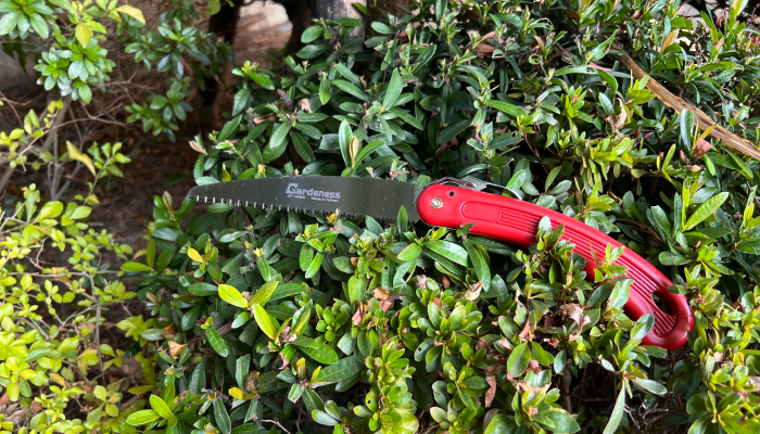 Why A Folding Hand Saw Is Better Than an Axe?