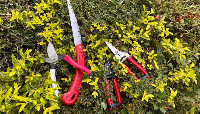 Instructions of Using Folding Hand Saw Tool for Garden Maintenance