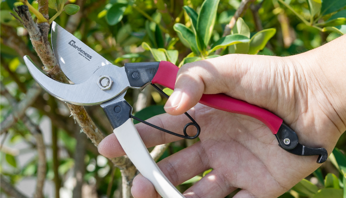 Why Should you Use Pruning Saw with Sheath for Garden Tasks? – Gardeness