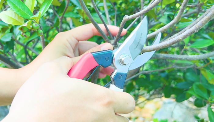 How To Choose the Right Gonicc Pruning Shears for a Small-Scale Garden