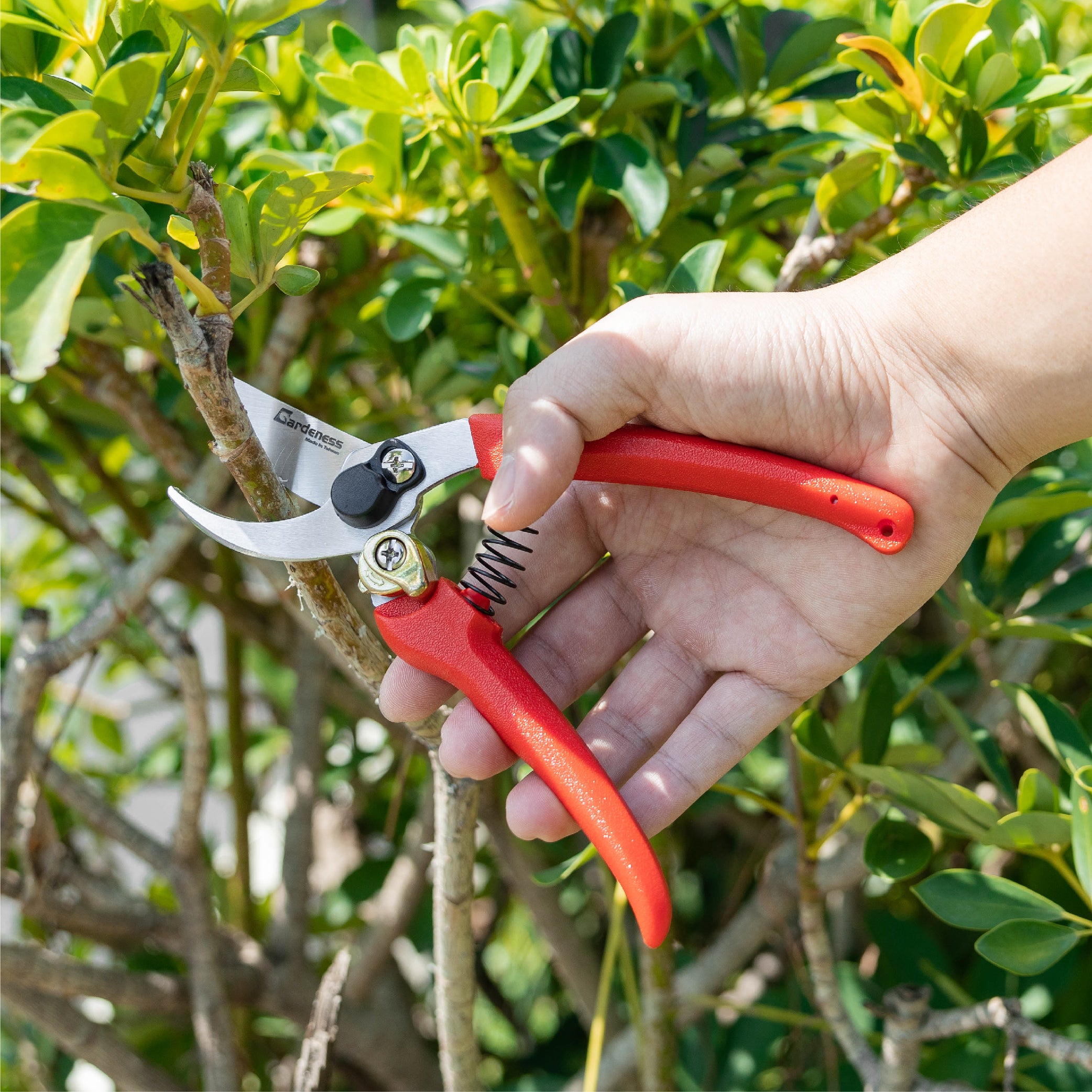 Essential Garden Tools Every Gardener Should Own