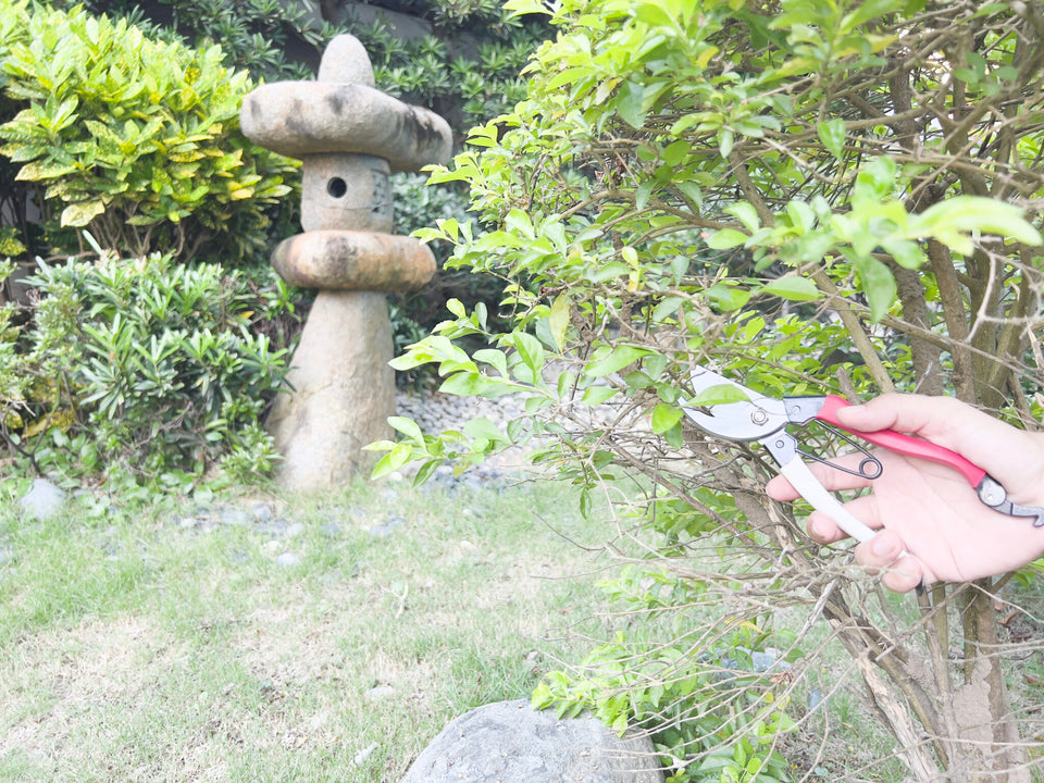 What are the Best Japanese Garden Okatsune Pruner Tools?