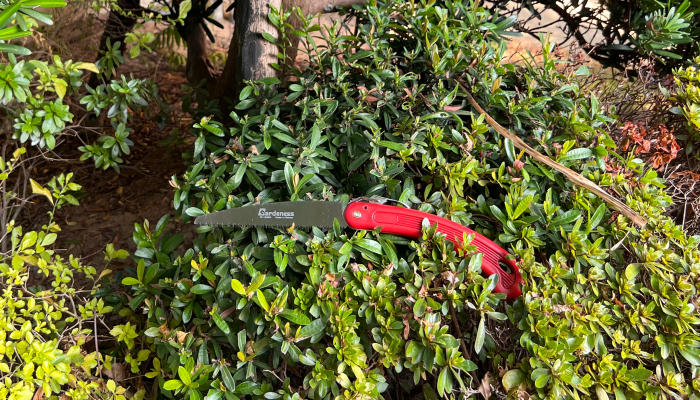 How The Right Garden Hand Pruning Tools Can Improve Plant Health