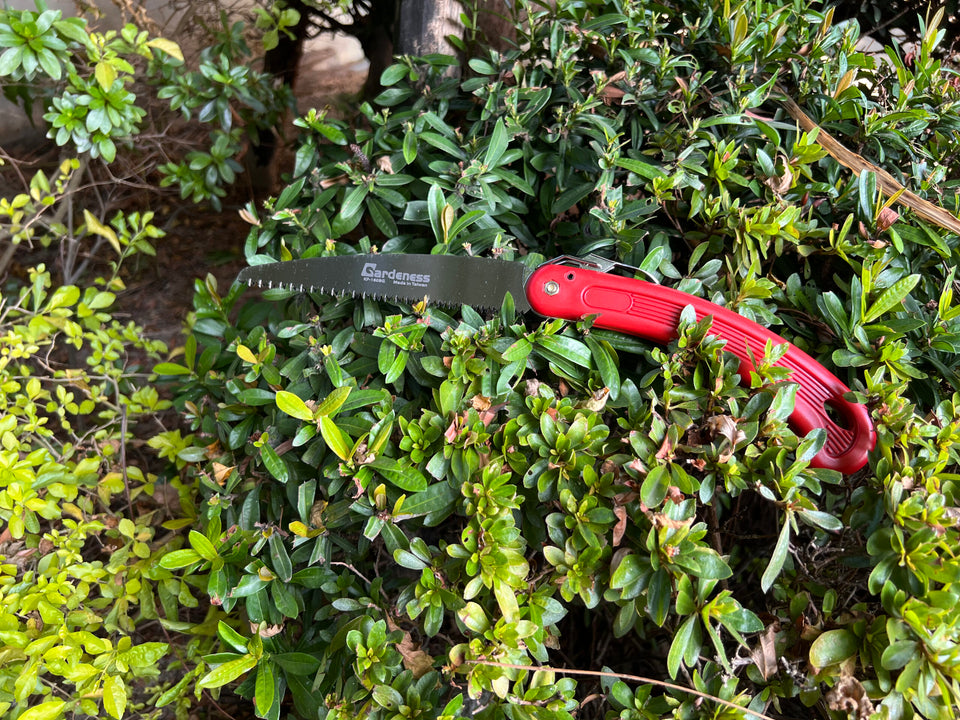 Small Hand Saw for Pruning: A Quick Guide