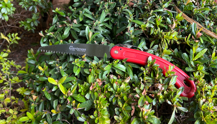 Create A Contemporary Japanese pruning & Low Maintenance Front Yard the Easy Way