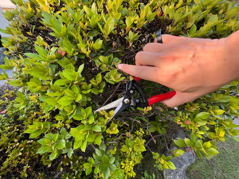 Things You Need to Know About Gonicc Pruning Shears