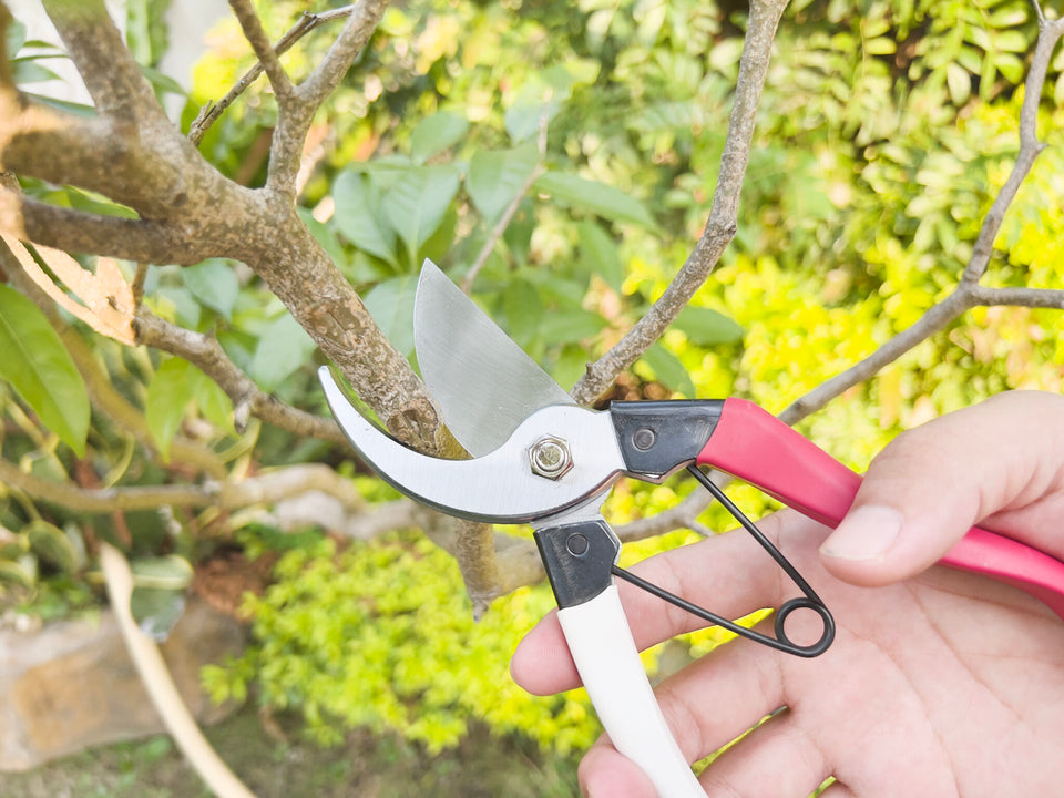 Tips for Using Gardening Trimming Tools Effectively