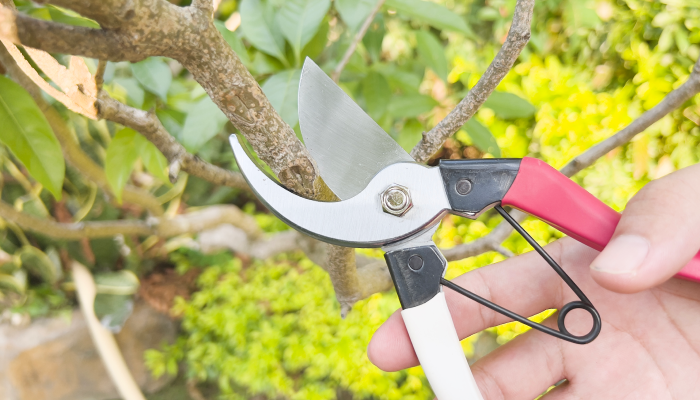 What Are The Tips And Tricks to Using Small Hand Saw?
